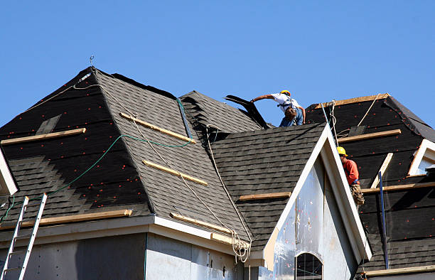 Best Metal Roofing Contractor  in Park Hills, MO